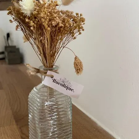 With Mediterranean Charm In The Heart Of The Provencal Market Апартаменти *