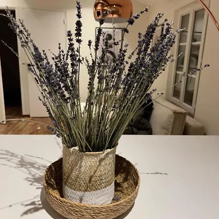 Apartment With Mediterranean Charm In The Heart Of The Provencal Market *