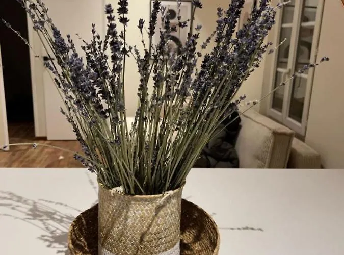 Διαμέρισμα With Mediterranean Charm In The Heart Of The Provencal Market *