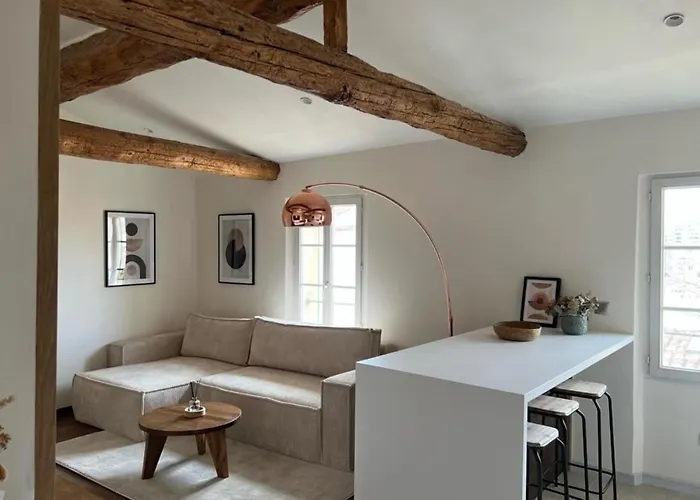 With Mediterranean Charm In The Heart Of The Provencal Market Apartment Antibes