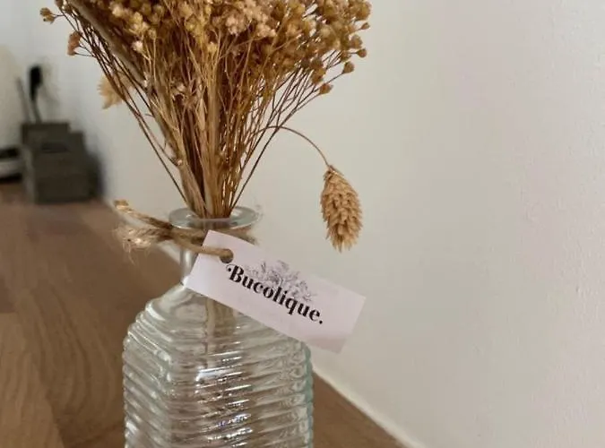 With Mediterranean Charm In The Heart Of The Provencal Market Διαμέρισμα *